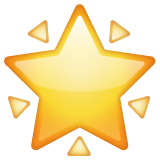 🌟