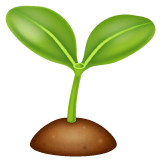 🌱