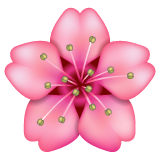 🌸